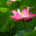 旺财28的财务规划,助你实现人生目标 86q0y13