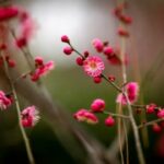 亿万28app的安全性分析:用户数据如何保护 gwc5w1psa