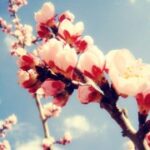 亿万28下载:新手玩家的必备指南 jxrnpa