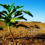 亿万28:投资教育的重要性与实践方法 kqz6b1