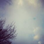 旺财28的市场分析,助你把握投资时机 s7yph88ekn